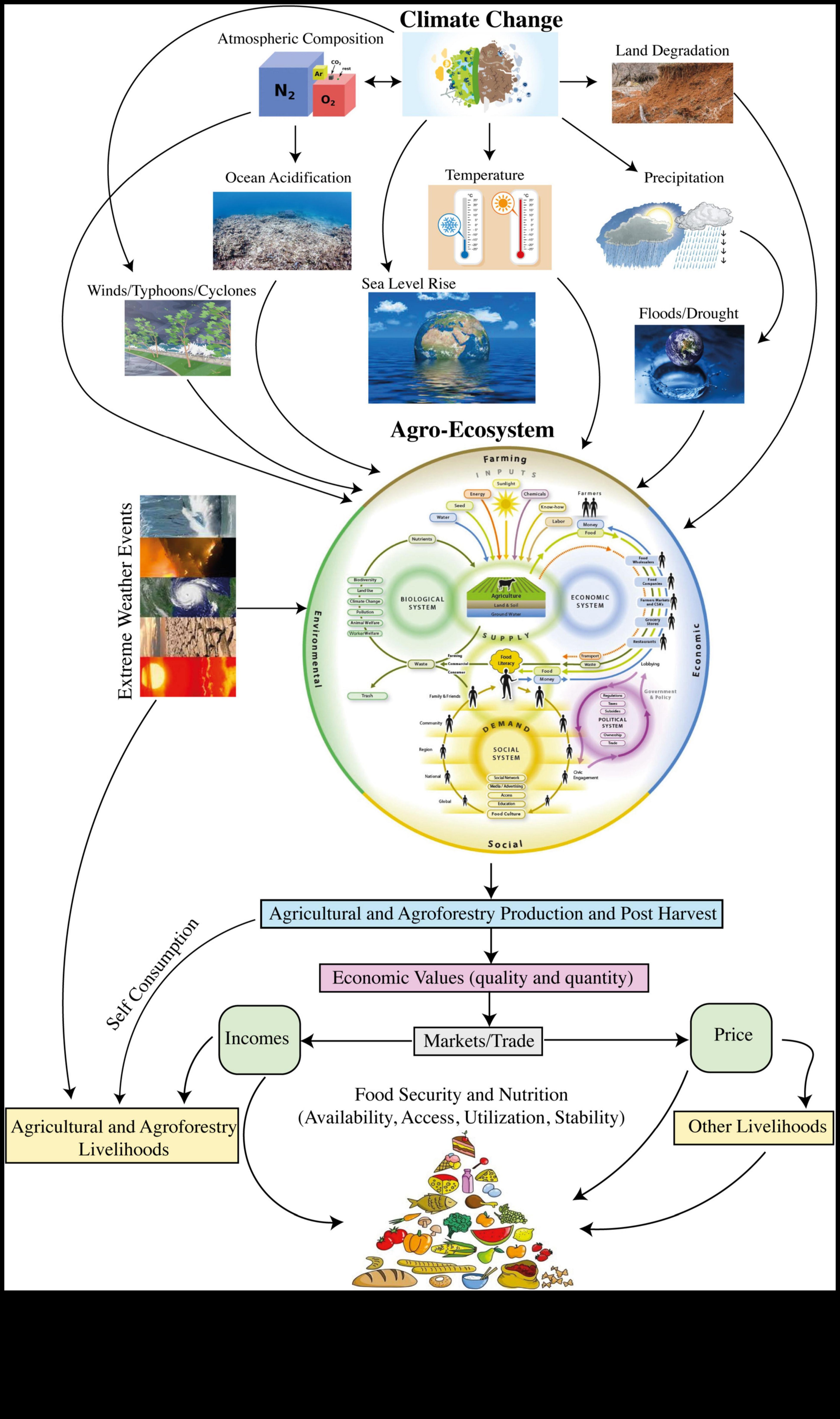 Dezvăluirea strategiilor de deficit de nutrienți pentru un viitor sănătos și durabil 2 Dezvăluirea lacunelor de nutrienți: strategii pentru prevenirea deficiențelor