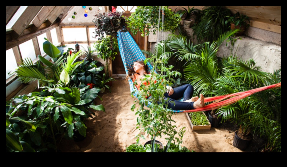 Green Oasis Crafting DIY Wonders for Garden Bliss 4 Green Oasis Crafting: Minuni de bricolaj pentru fericirea grădinii tale