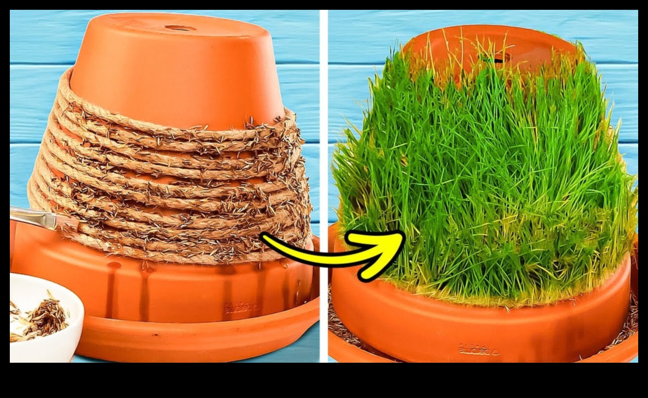 Green Oasis Crafting DIY Wonders for Garden Bliss 2 Green Oasis Crafting: Minuni de bricolaj pentru fericirea grădinii tale