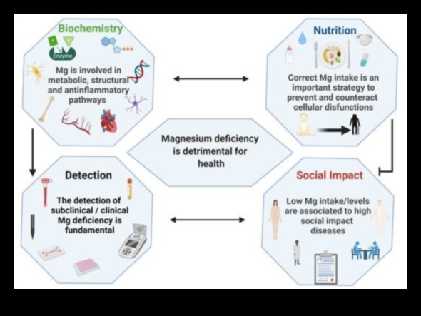 Legătura cu nutrienți: conectează sănătatea și biochimia nutrițională