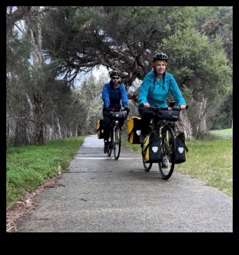 Road Warriors: Explorarea rezistenței și fiabilității bicicletelor de turism