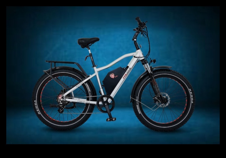 Road Warriors: Explorarea rezistenței și fiabilității bicicletelor de turism