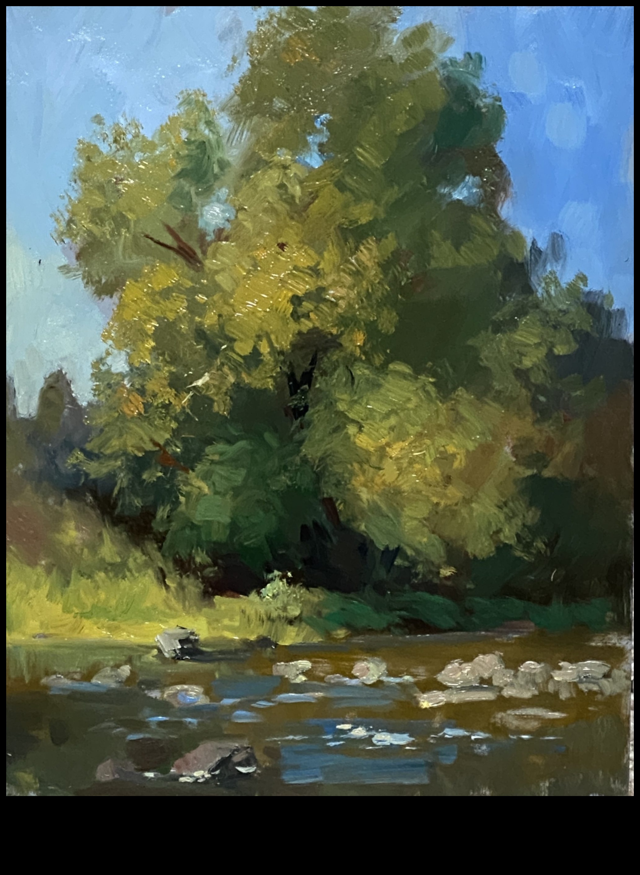 Serenada naturii: infuzând arta în oaza ta în aer liber