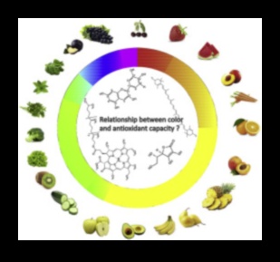 Sănătate în fiecare culoare Spectrul de antioxidanți 2 Sănătate în fiecare culoare: spectrul de antioxidanți