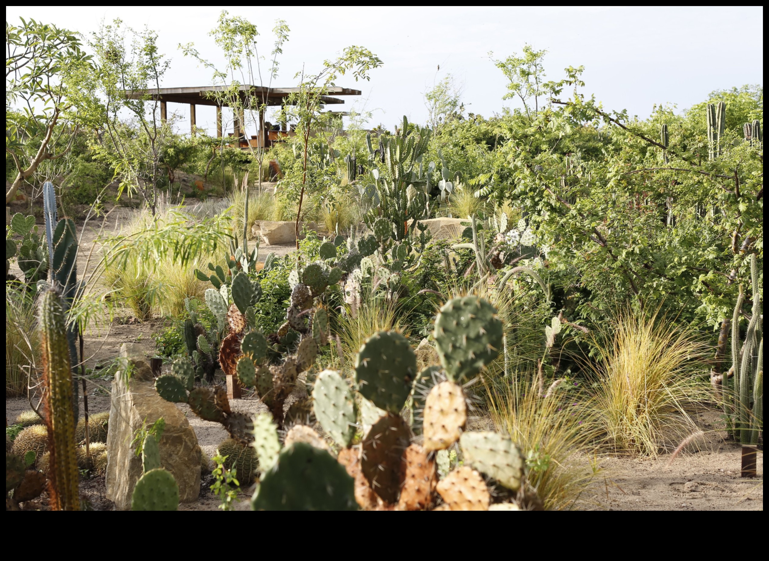 Arta florală: crearea frumuseții prin ateliere de grădină