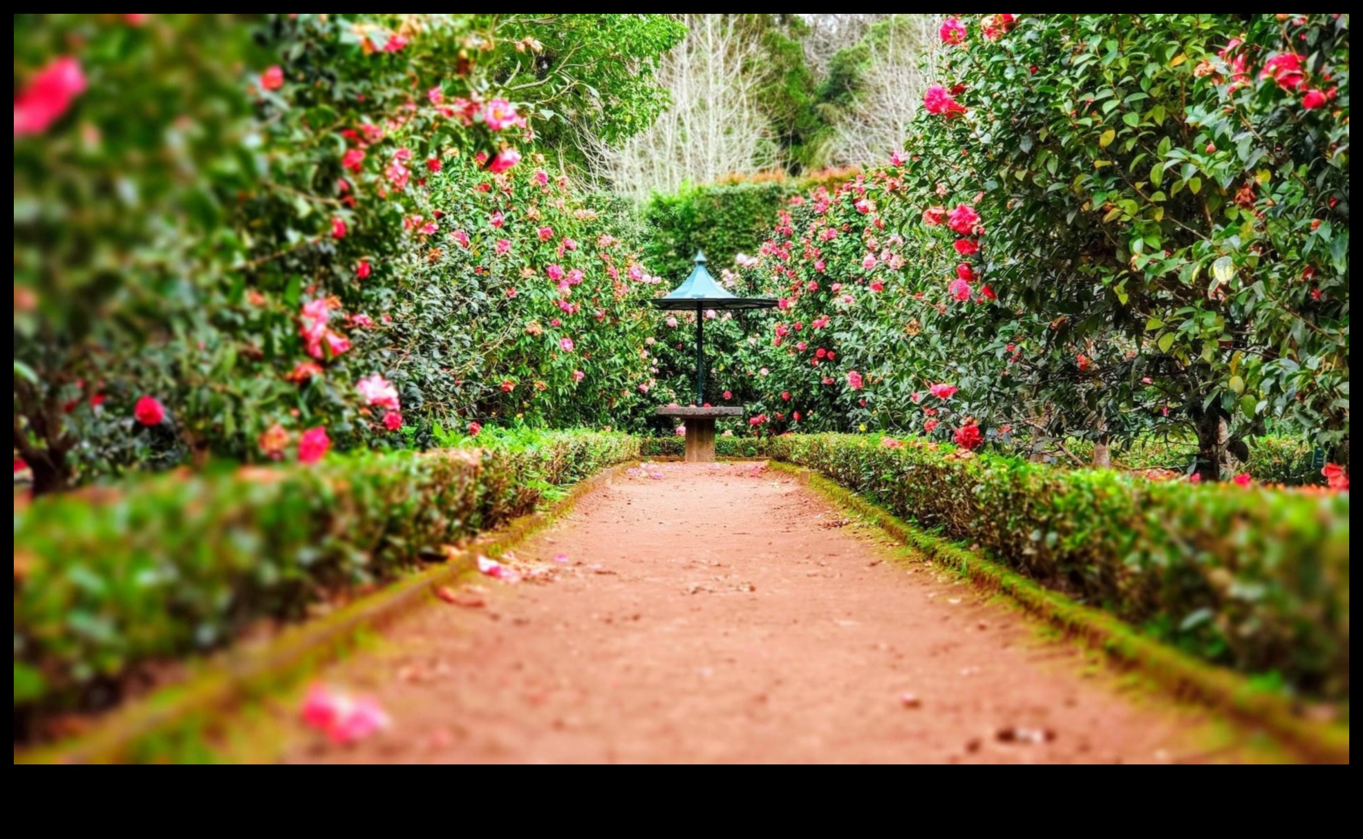 Seninătatea sculptată, ridică-ți grădina cu accente decorative șic 4 Serenitate sculptată: ridicați-vă grădina cu accente de decor șic