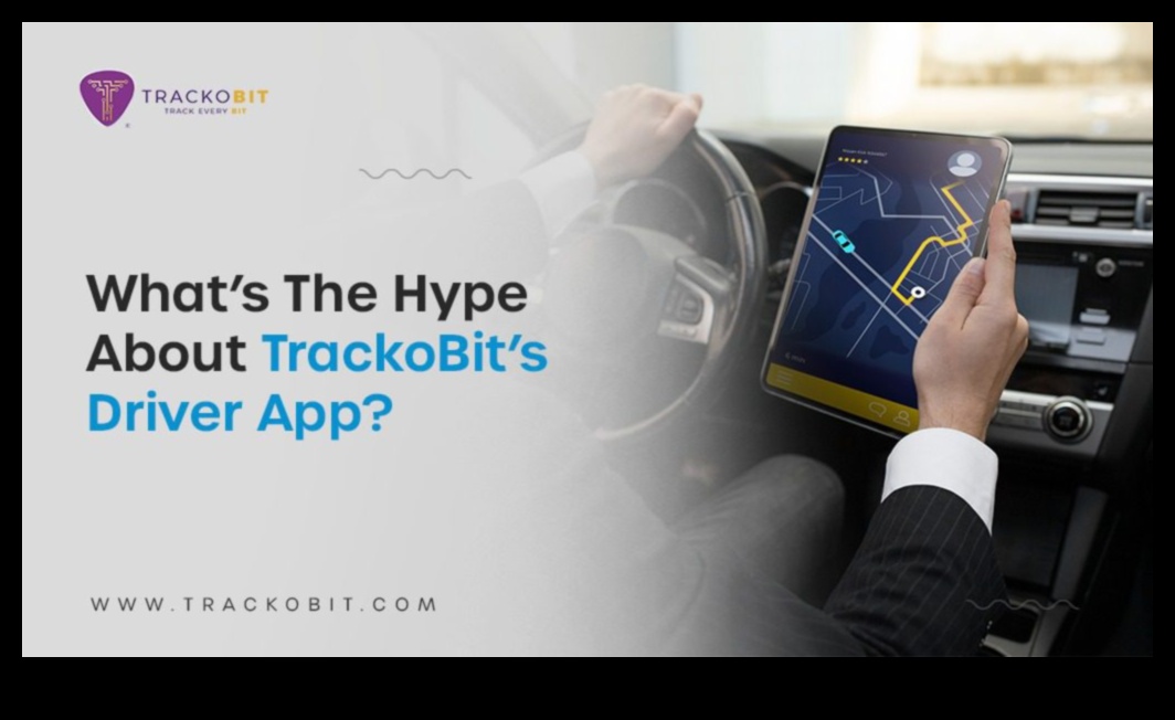 Armonie pe autostradă: fluxul și conexiunea printre călătorii autonomi