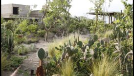 Ornamentica florală Descoperiți frumusețea naturii dupa ateliere de grădină 2 Arta florală: crearea frumuseții prin ateliere de grădină