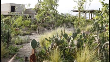 Arta florală: crearea frumuseții prin ateliere de grădină