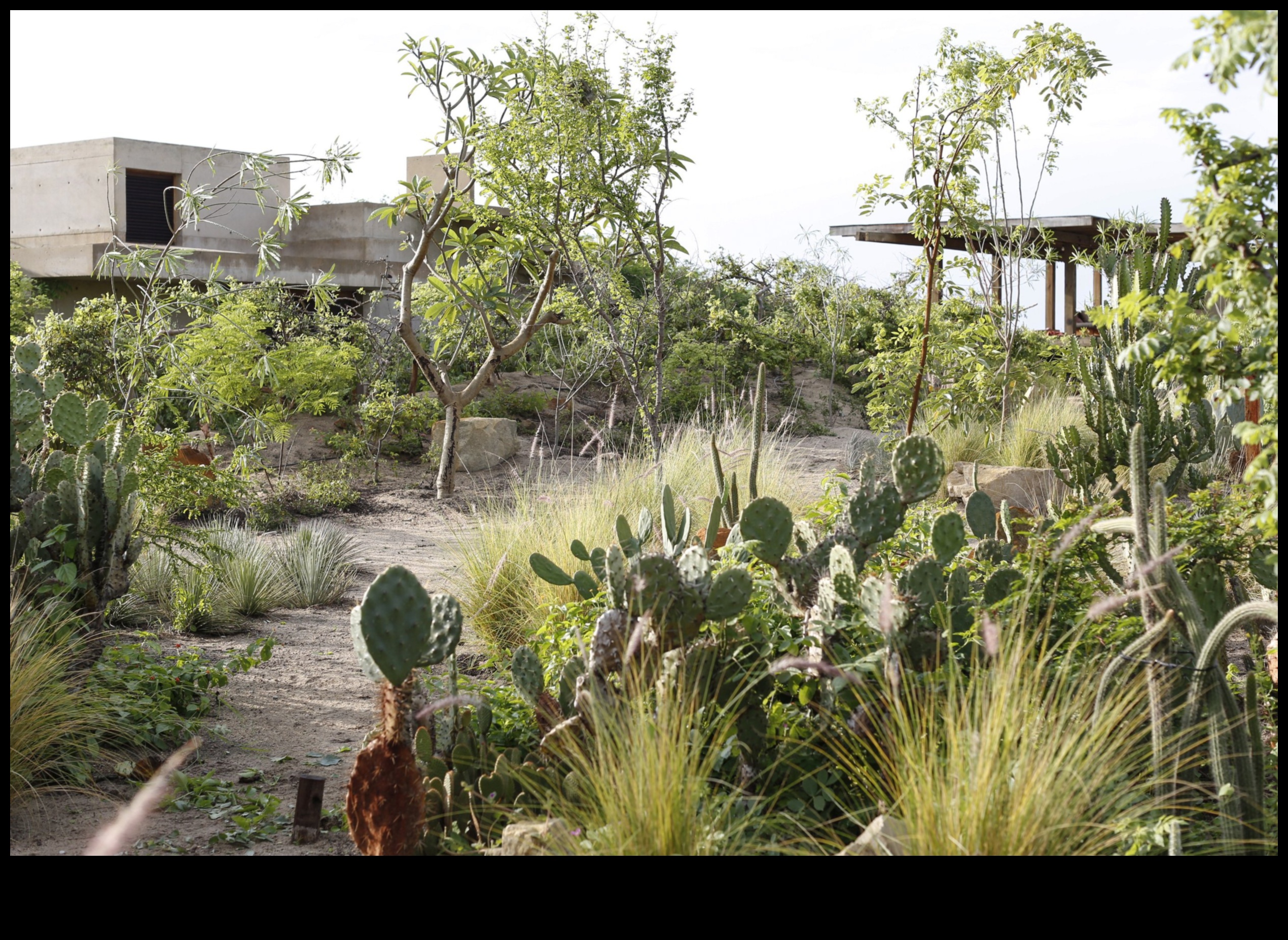 Arta florală: crearea frumuseții prin ateliere de grădină