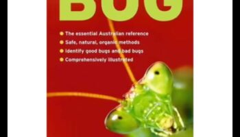 Gângănii alungați: Arsenalul unui grădinar împotriva dăunătorilor