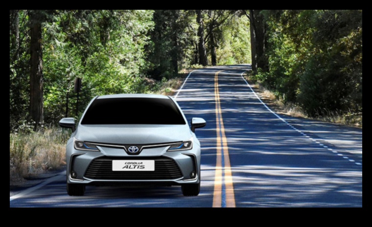 Conduceri ecologice: aventuri în mașini hibride pentru conservarea naturii