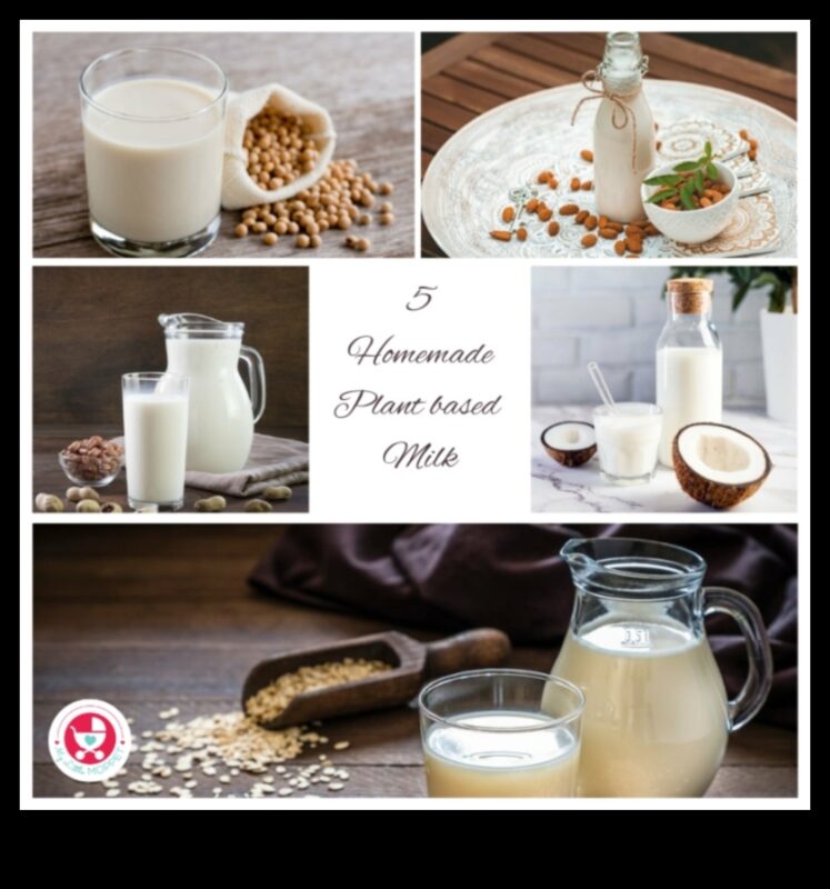 DIY Oat Adventures: Crearea de preparate unice și aromate de lapte