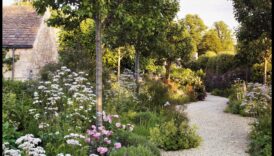 Foliage Friends Știința creării unei grădini armonioase 5 Foliage Friends: Știința din spatele armoniei grădinii