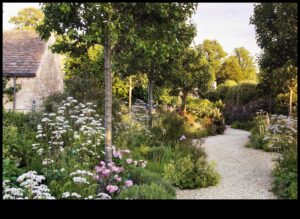 Foliage Friends: Știința din spatele armoniei grădinii