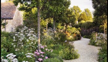 Foliage Friends: Știința din spatele armoniei grădinii