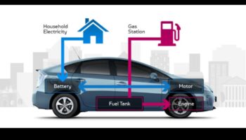Hibrizi pentru o cauză: inițiative comunitare și filantropie pe drumul verde