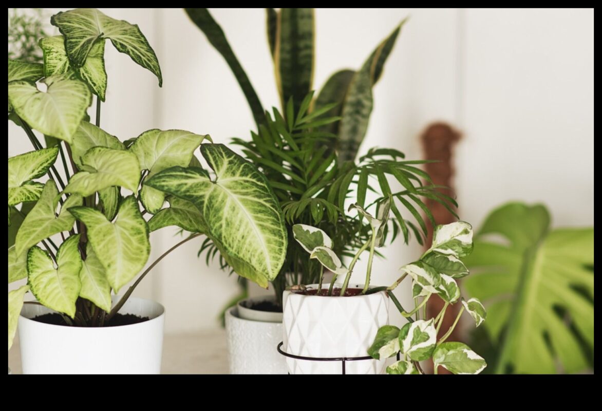 Înfloriți în fiecare cameră: delicii de grădinărit de interior