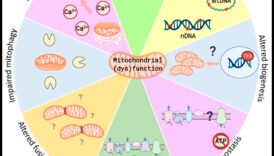 Legătura inspre nutrienți, incotro sănătatea și biochimia nutrițională se întâlnesc 6 Legătura cu nutrienți: conectează sănătatea și biochimia nutrițională