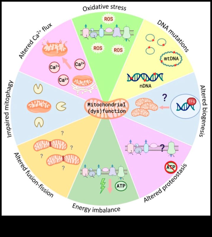 Legătura cu nutrienți: conectează sănătatea și biochimia nutrițională