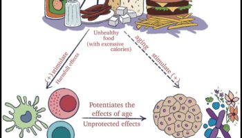 Nutriție optimă: ABC-ul excelenței în macronutrienți