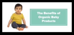 Ode organice: îmbrățișarea recompenselor naturii în dieta bebelușului