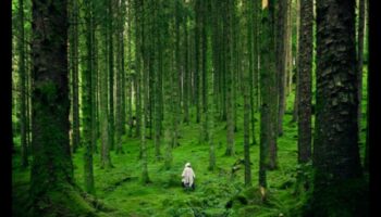 Wellness in Every Rock: Magia mineralelor esentiale