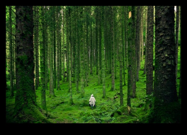 Puterea mineralelor Cum să valorificăm proprietățile vindecătoare ale naturii 1 Wellness in Every Rock: Magia mineralelor esentiale