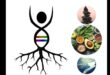 Wellness genetic: o scufundare profundă în dietele nutrigenomice