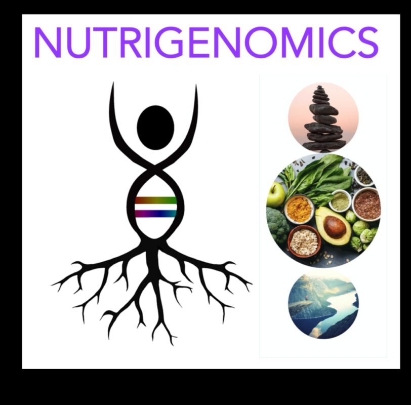 Wellness genetic: o scufundare profundă în dietele nutrigenomice
