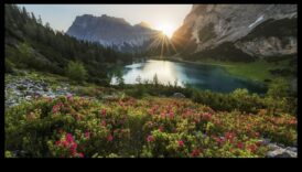 Serenada naturii: infuzând arta în oaza ta în aer liber