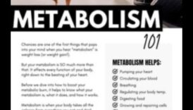 Stăpânirea metabolismului: cum exercițiul stimulează arderea energetică a corpului tău