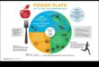 The Power Plate: Un plan pentru bunăstarea nutrițională