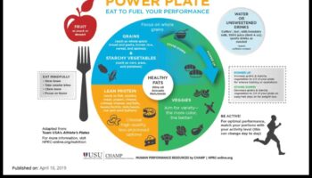 The Power Plate: Un plan pentru bunăstarea nutrițională