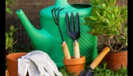 Verdeață fără efort: echipamentele de grădină indispensabile dezvăluite